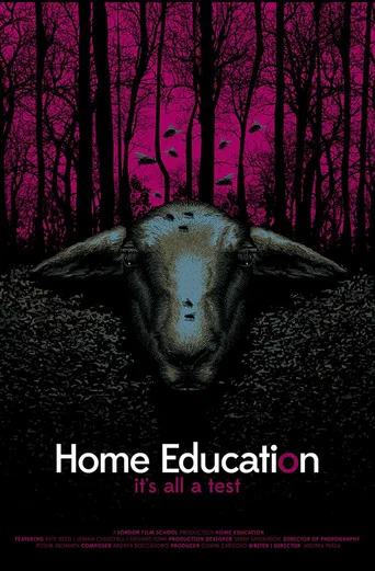Movie poster for Home Education (2016)