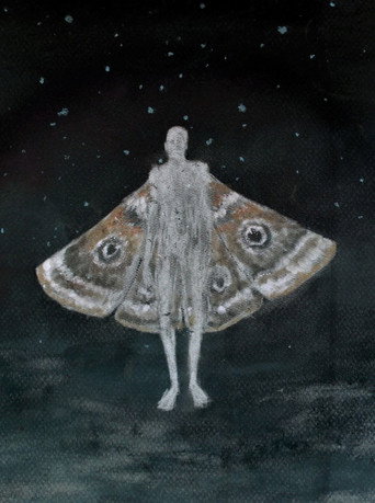 Movie poster for Phototaxis (2017)