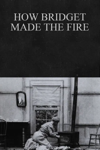 Movie poster for How Bridget Made the Fire (1900)