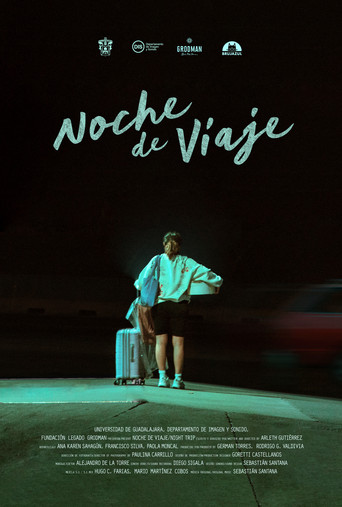 Movie poster for Night Trip (2024)