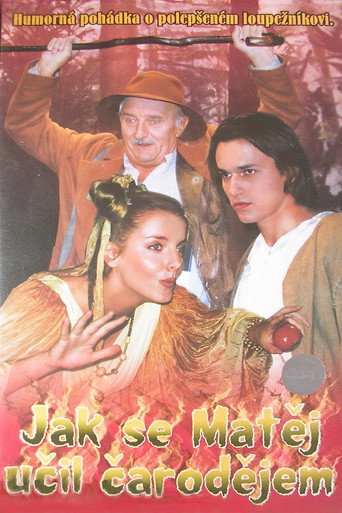 Jak se Matěj učil čarodějem poster