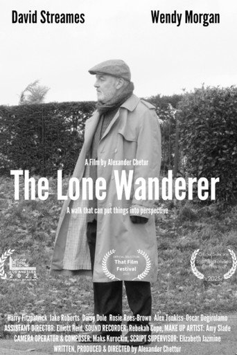 Movie poster for The Lone Wanderer (2025)