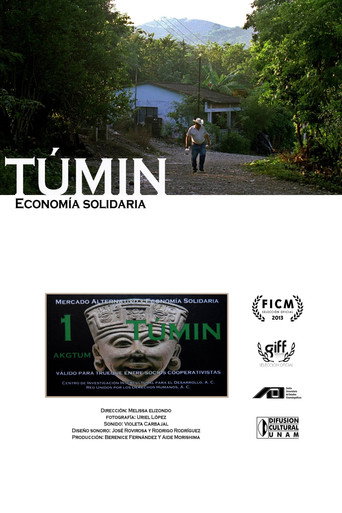 Movie poster for Tumin. Solidary Economy (2013)
