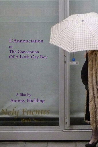 L'Annonciation or The Conception of a Little Gay Boy poster