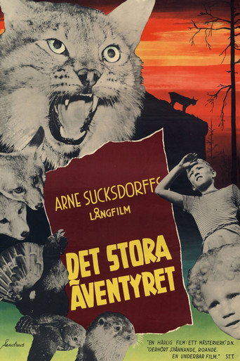 Movie poster for The Great Adventure (1953)