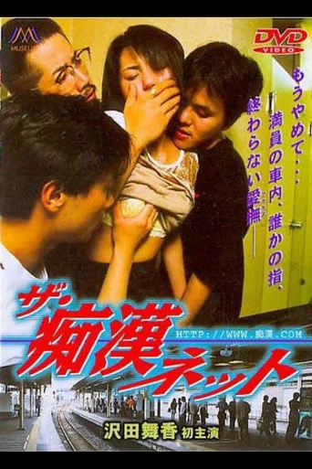 Movie poster for The Molester Net (1998)