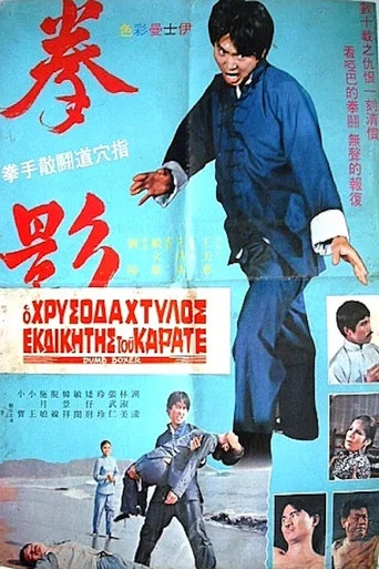 Movie poster for Dumb Boxer (1973)