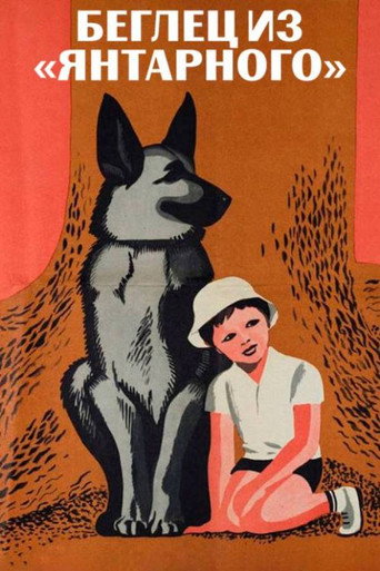 The Fugitive from "Yantarny" poster