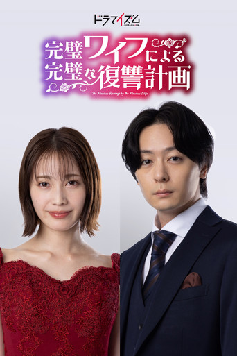 The Flawless Revenge by the Flawless Wife poster