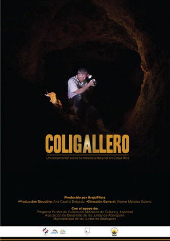 Movie poster for Coligallero (2020)