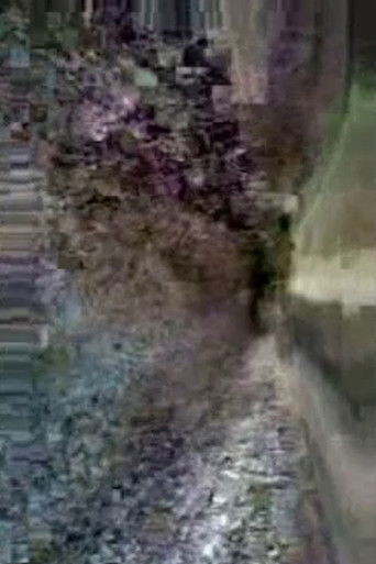 Preserving Cultural Traditions in a Period of Instability poster