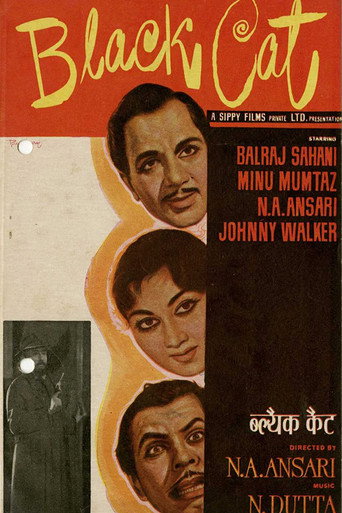 Movie poster for Black Cat (1959)