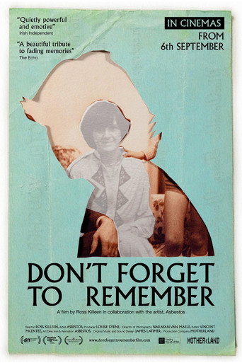 Movie poster for Don't Forget to Remember (2024)