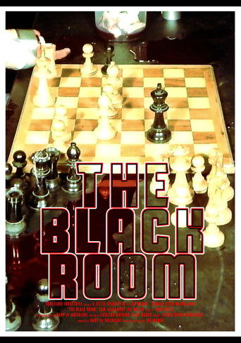 Movie poster for The Black Room (2013)