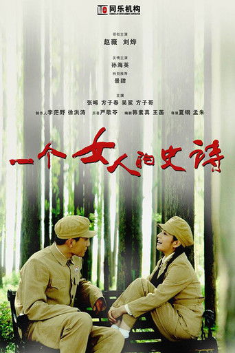 一个女人的史诗 poster