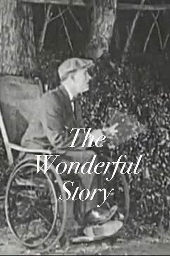 The Wonderful Story poster