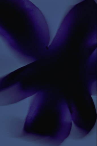 Movie poster for Flowers #3 (Kissed by the Sun) (2023)