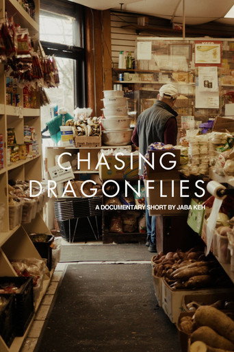 Movie poster for Chasing Dragonflies