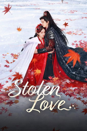 Stolen Love poster