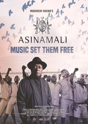 Movie poster for Asinamali (2017)