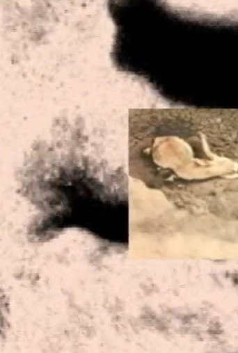 Movie poster for The Science of Singularity (2004)