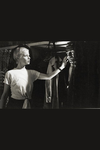 El diablo y la dama poster