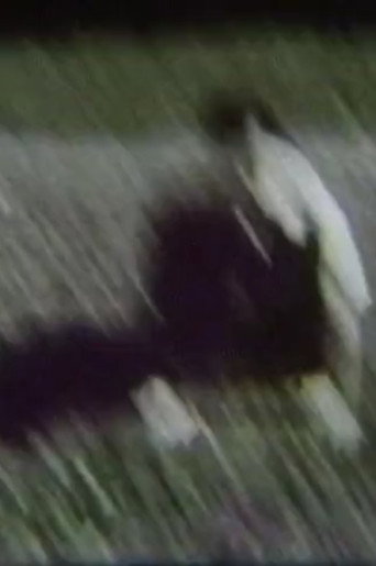 Movie poster for Camera/Cage (1978)