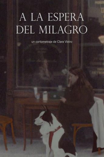 A la espera del milagro poster