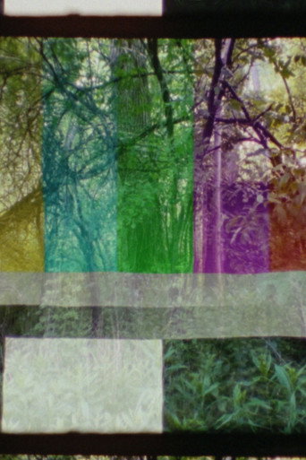 Movie poster for SMPTE FOREST (2023)