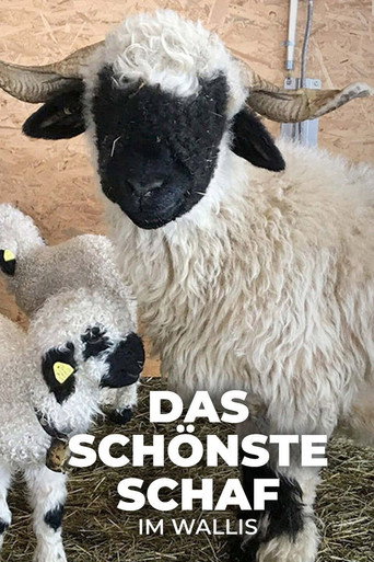 Movie poster for Das schönste Schaf im Wallis (2022)