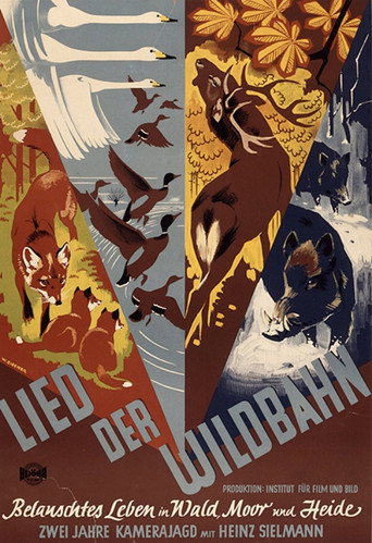 Movie poster for Lied der Wildbahn (1950)