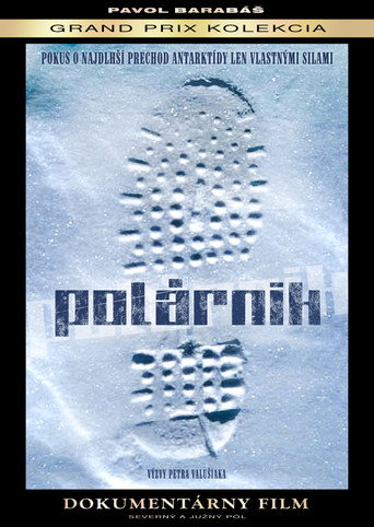 Polárnik poster