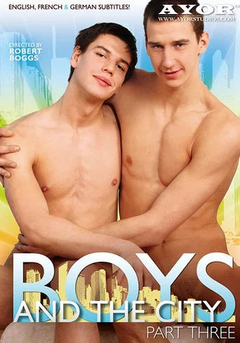 Movie poster for Boys and the City 3 (2014)