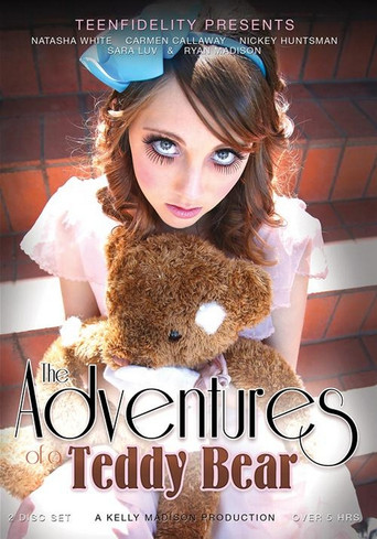 Movie poster for The Adventures of a Teddy Bear (2014)