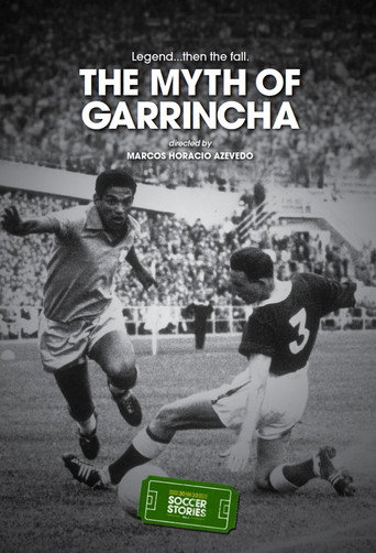 Movie poster for The Myth of Garrincha (2014)