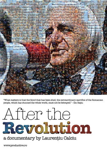 Movie poster for After the Revolution (2010)