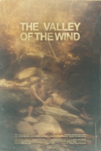 Movie poster for The Valley of the Wind (2022)