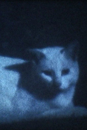 Movie poster for DARK BLACK SHADOW PEOPLE