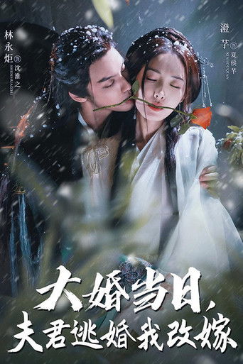 大婚当日夫君逃婚我改嫁 poster