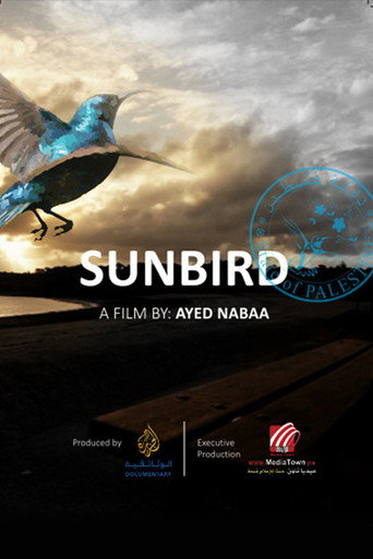 Movie poster for The Sunbird (2016)