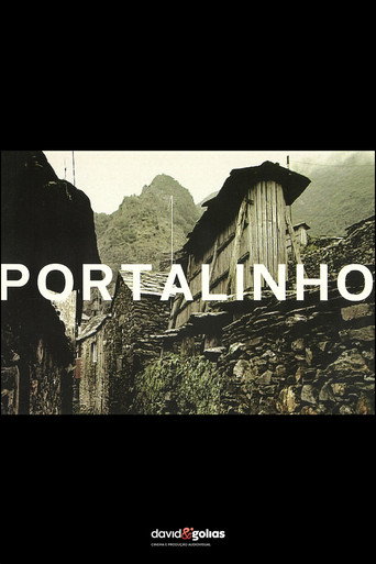Movie poster for Portalinho