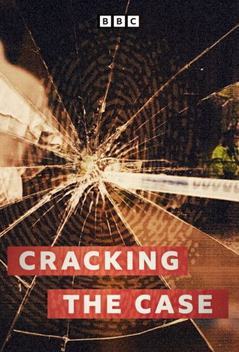 Cracking The Case poster