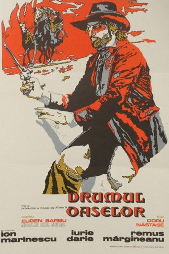 Movie poster for The Bone Srewn Road (1980)