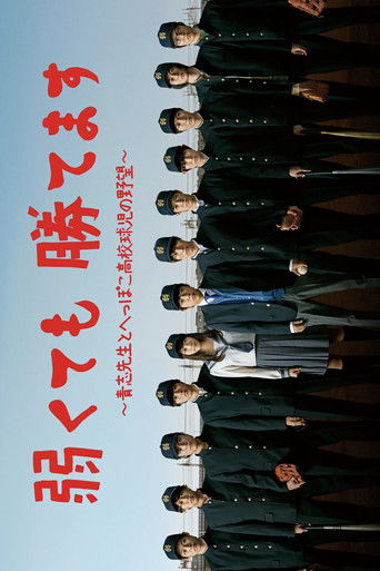 Baseball Brainiacs poster