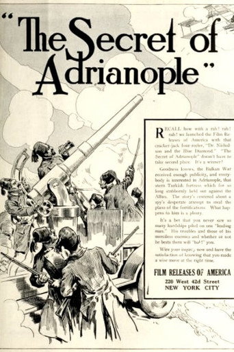 Movie poster for The Secret of Adrianople (1913)