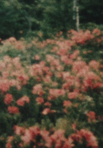 Movie poster for From the Window (1974)