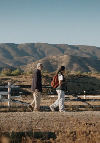 Oldman's Blues poster