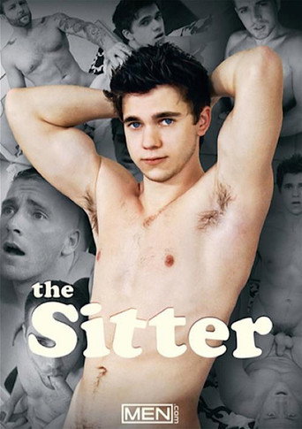 Movie poster for The Sitter (2016)
