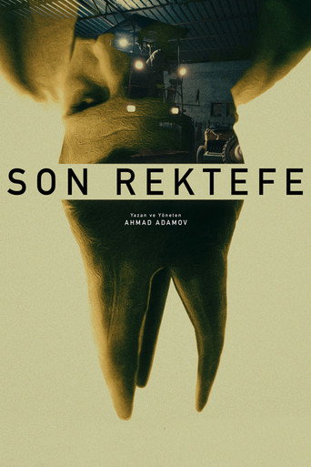 Movie poster for Final Repair