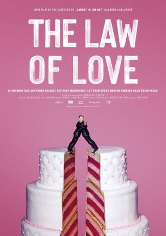 Movie poster for The Law of Love (2021)